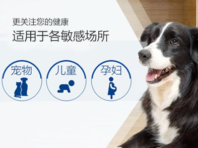 北京滅跳蚤公司，殺跳蚤公司哪家好